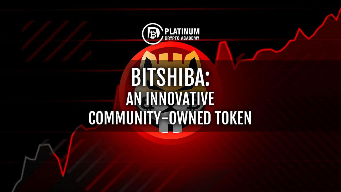 Bitshiba An Innovative Community-owned Token