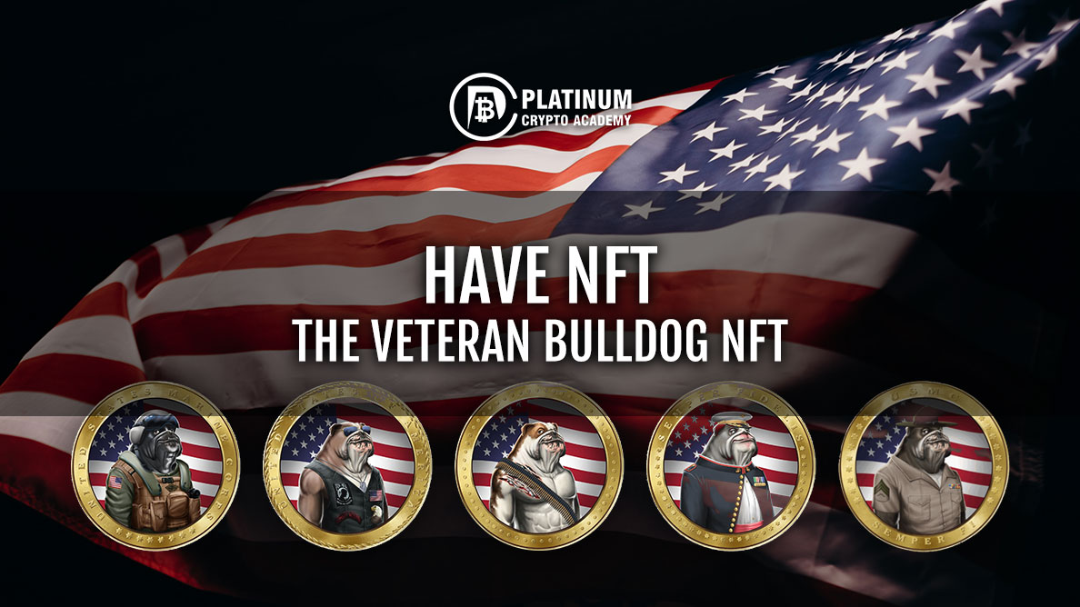 HAVE NFT - The Veteran Bulldog NFT