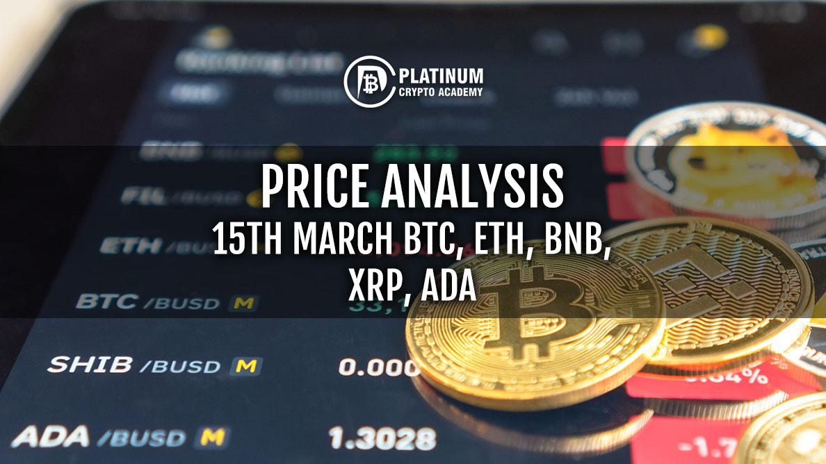 Market Price Analysis