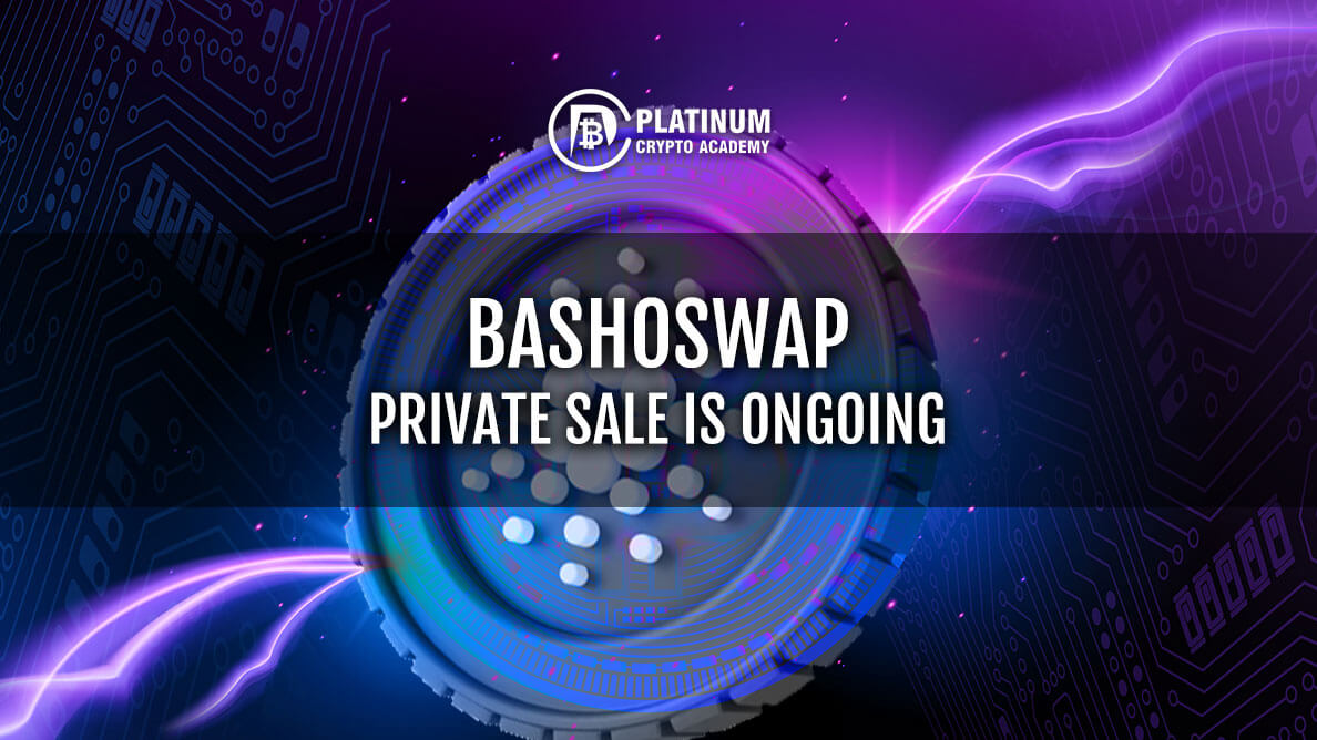 Bashoswap Private Sale is Ongoing