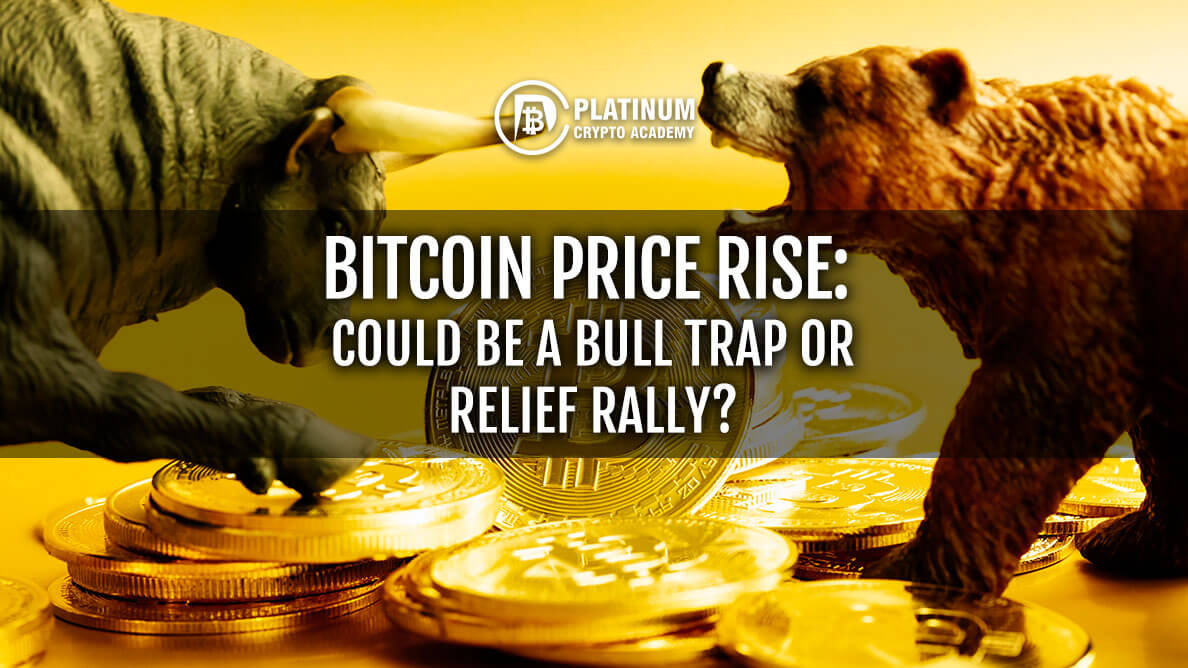 Bitcoin Price Rise
