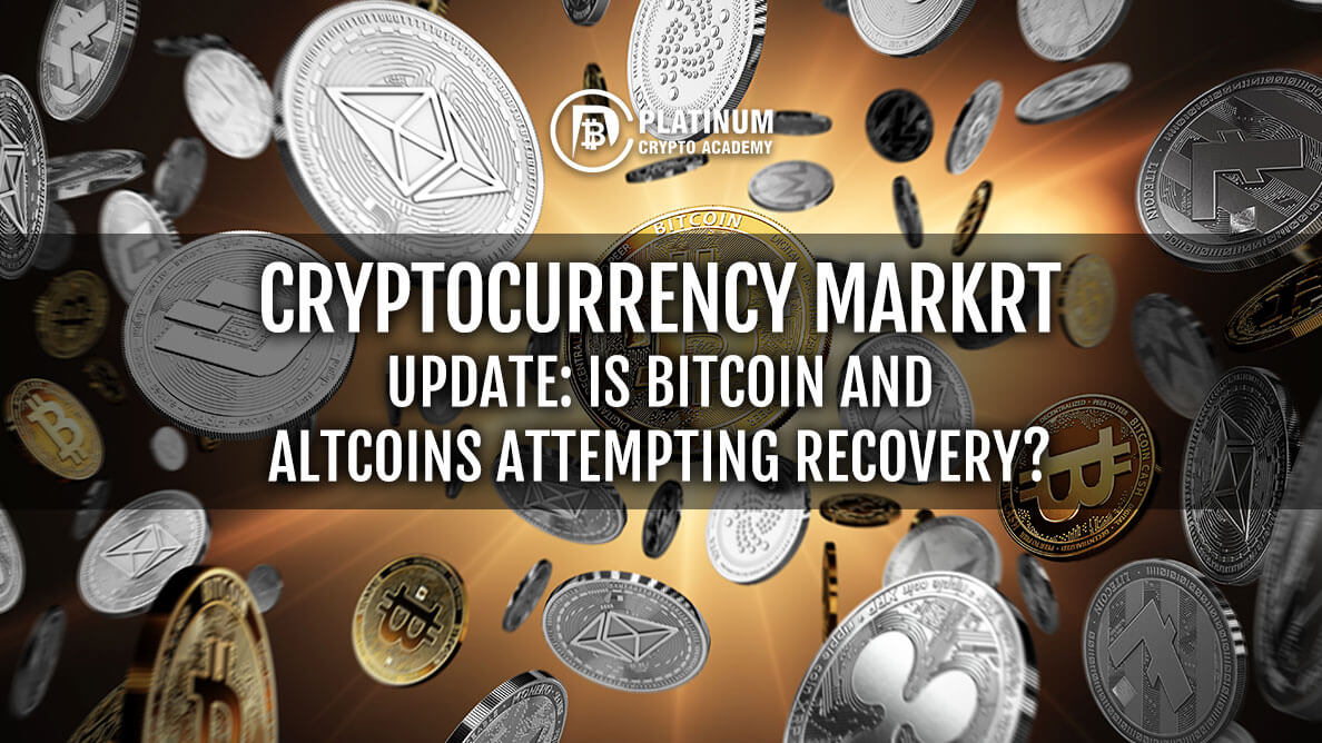 Cryptocurrency Market Update: Is Bitcoin and Altcoins Attempting Recovery?