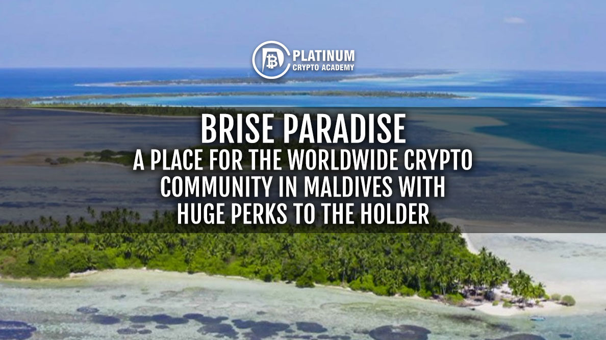Brise Paradise
