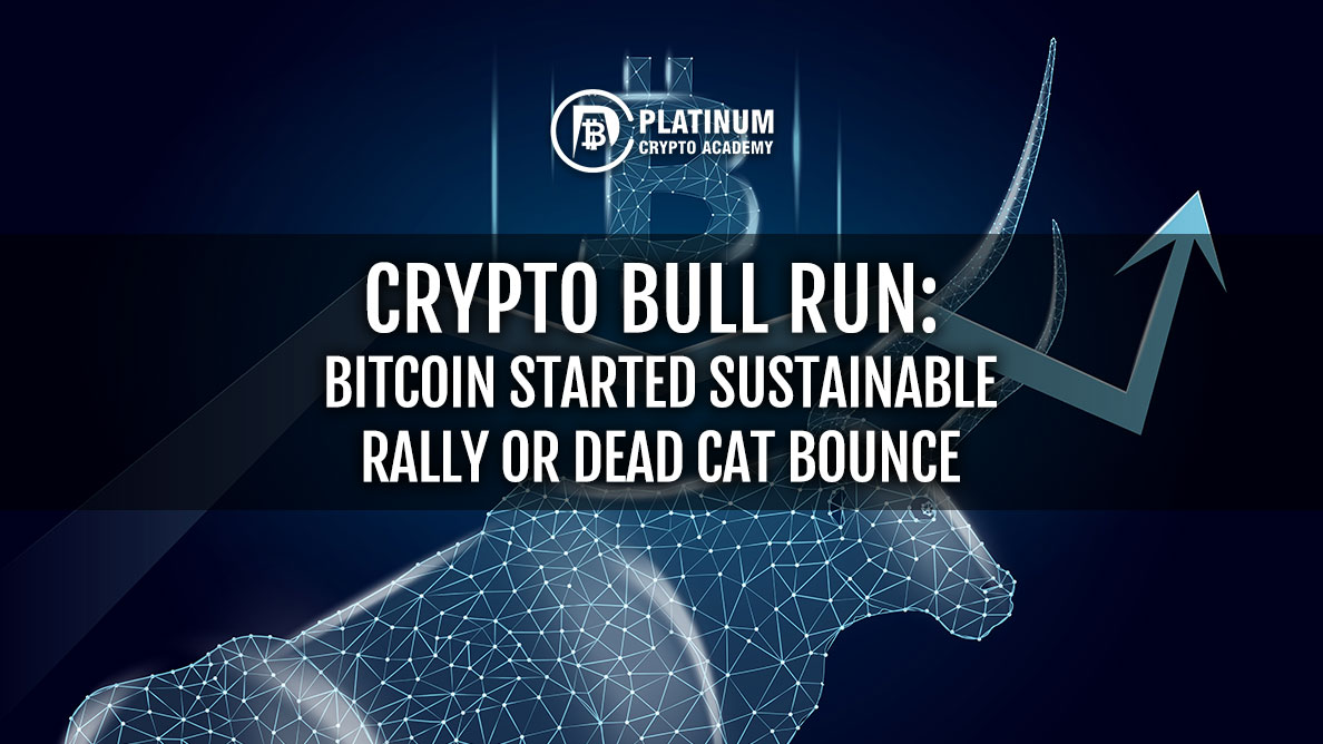 {filename}-Crypto Bull Run: Has Bitcoin Started Sustainable Rally Or Dead Cat Bounce?