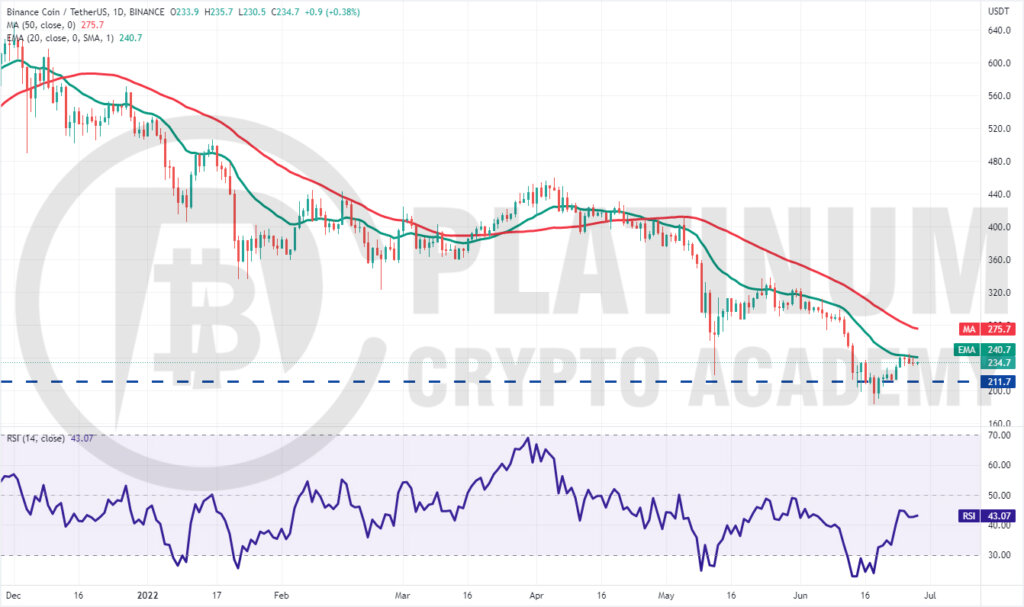 BNB/USD Market Analysis