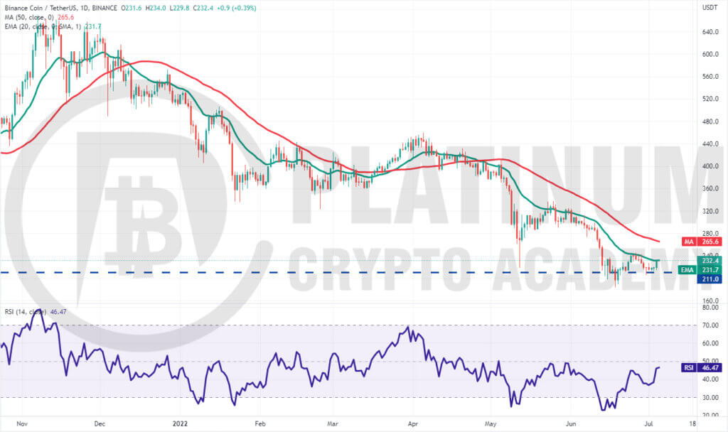 BNB/USD Market Analysis