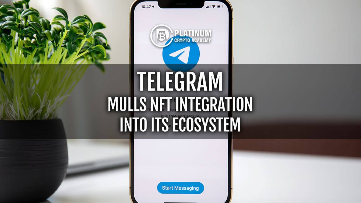 TELEGRAM-MULLS-NFT-INTEGRATION