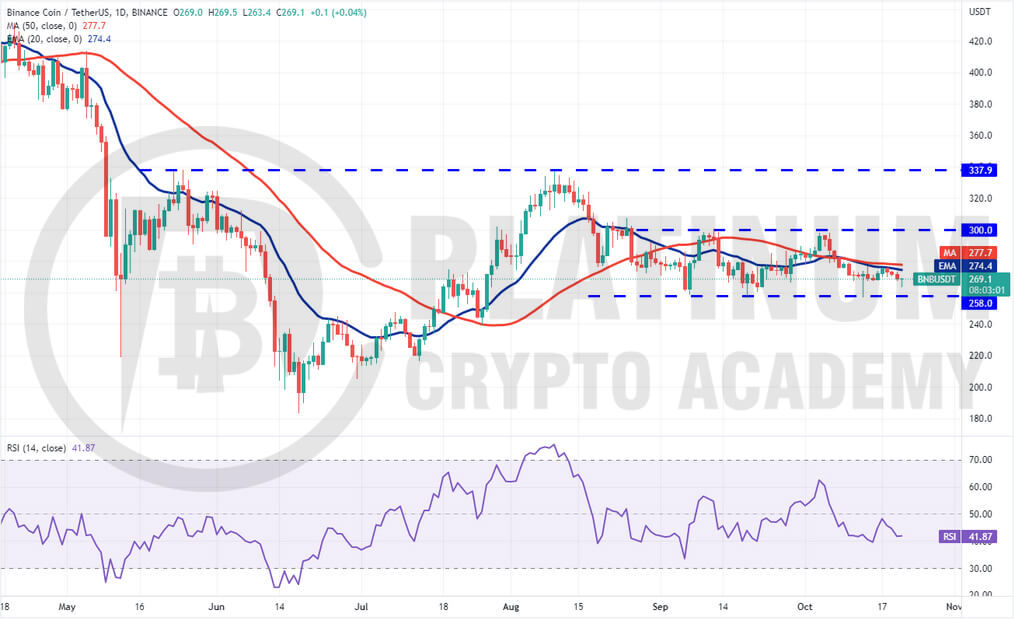 BNB/USD