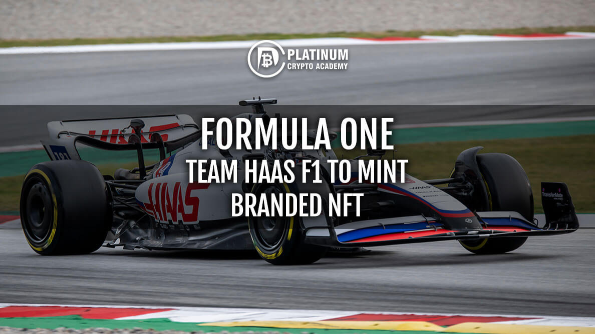 FORMULA ONE TEAM HAAS F1