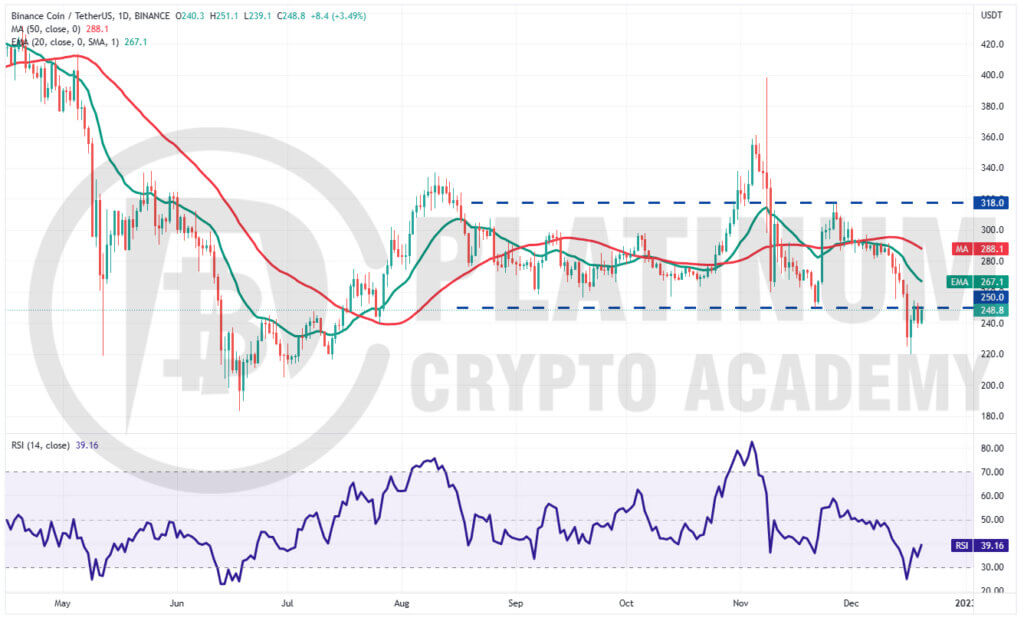 BNB/USD