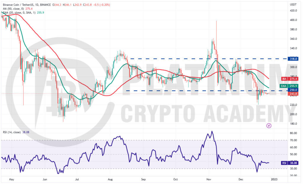 BNB/USD