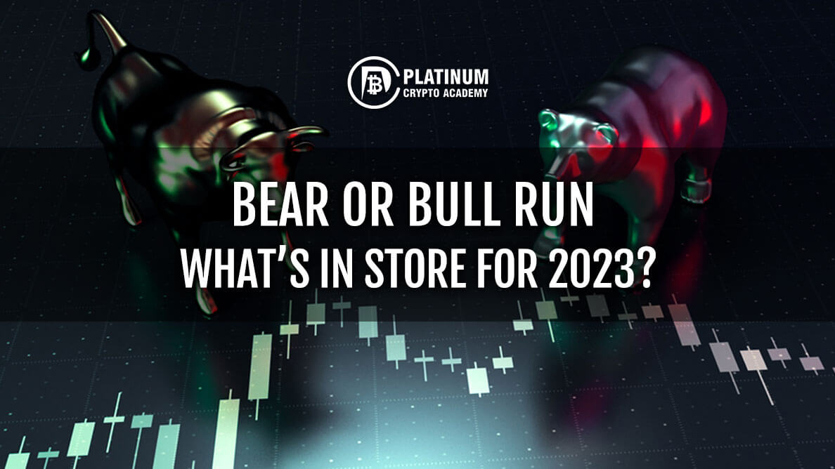 BEAR-OR-BULL-RUN