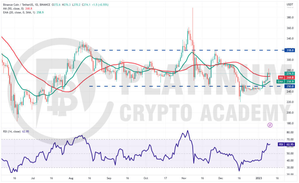 BNB/USD