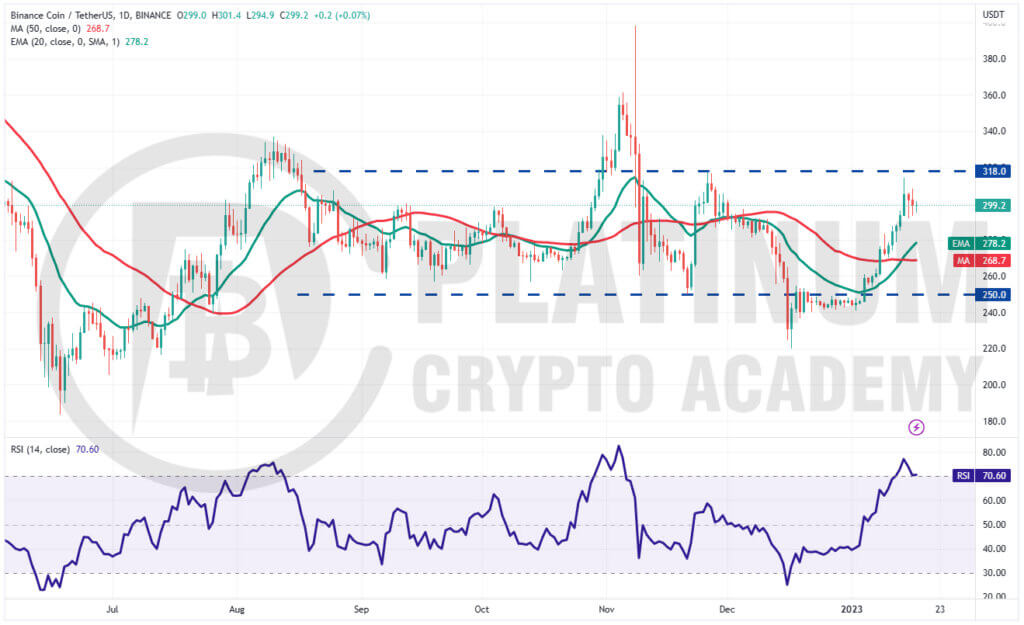 BNB/USD