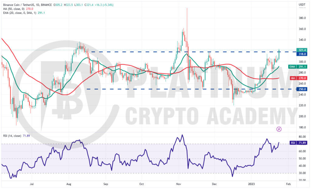 BNB/USD