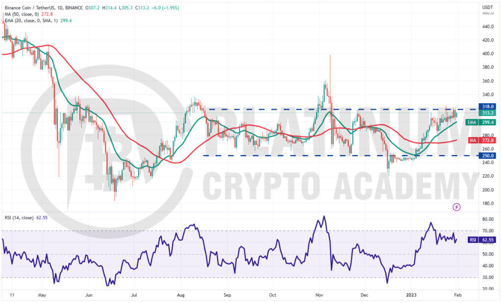 BNB/USD