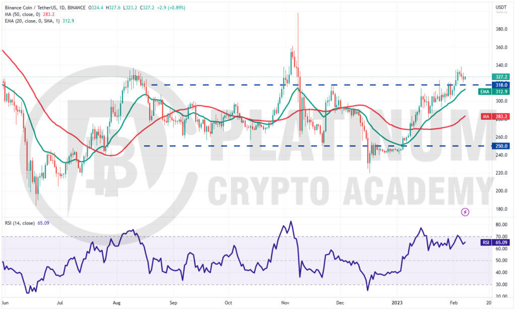 BNB/USD