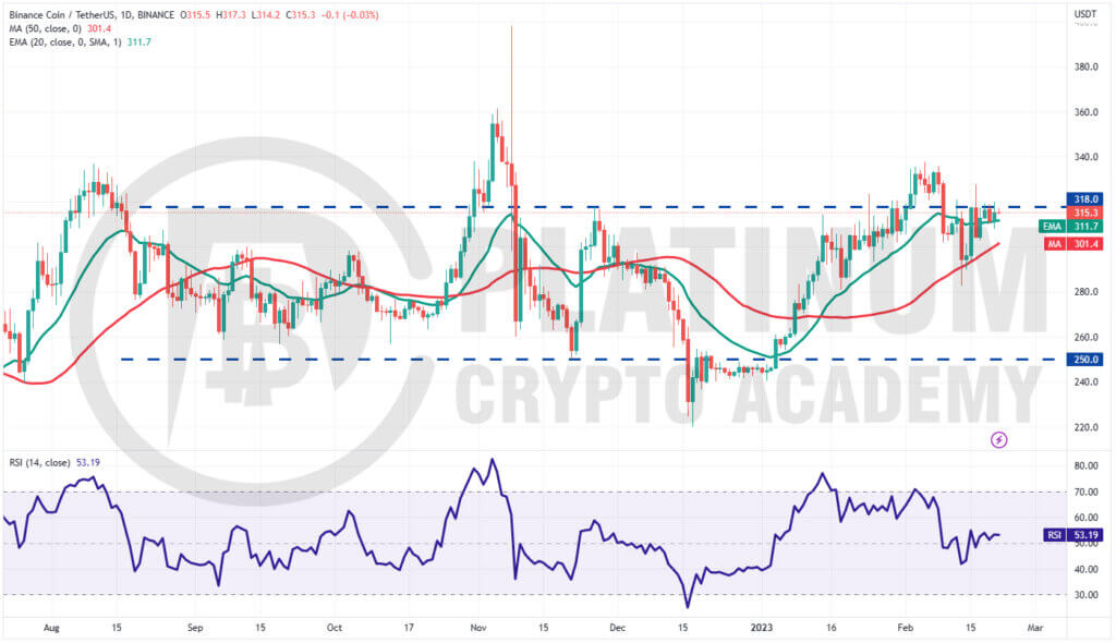 BNB/USD