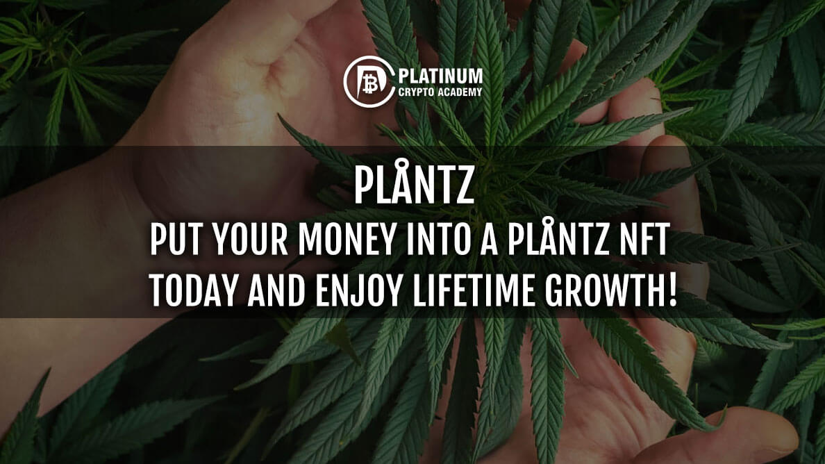 PLANTZ